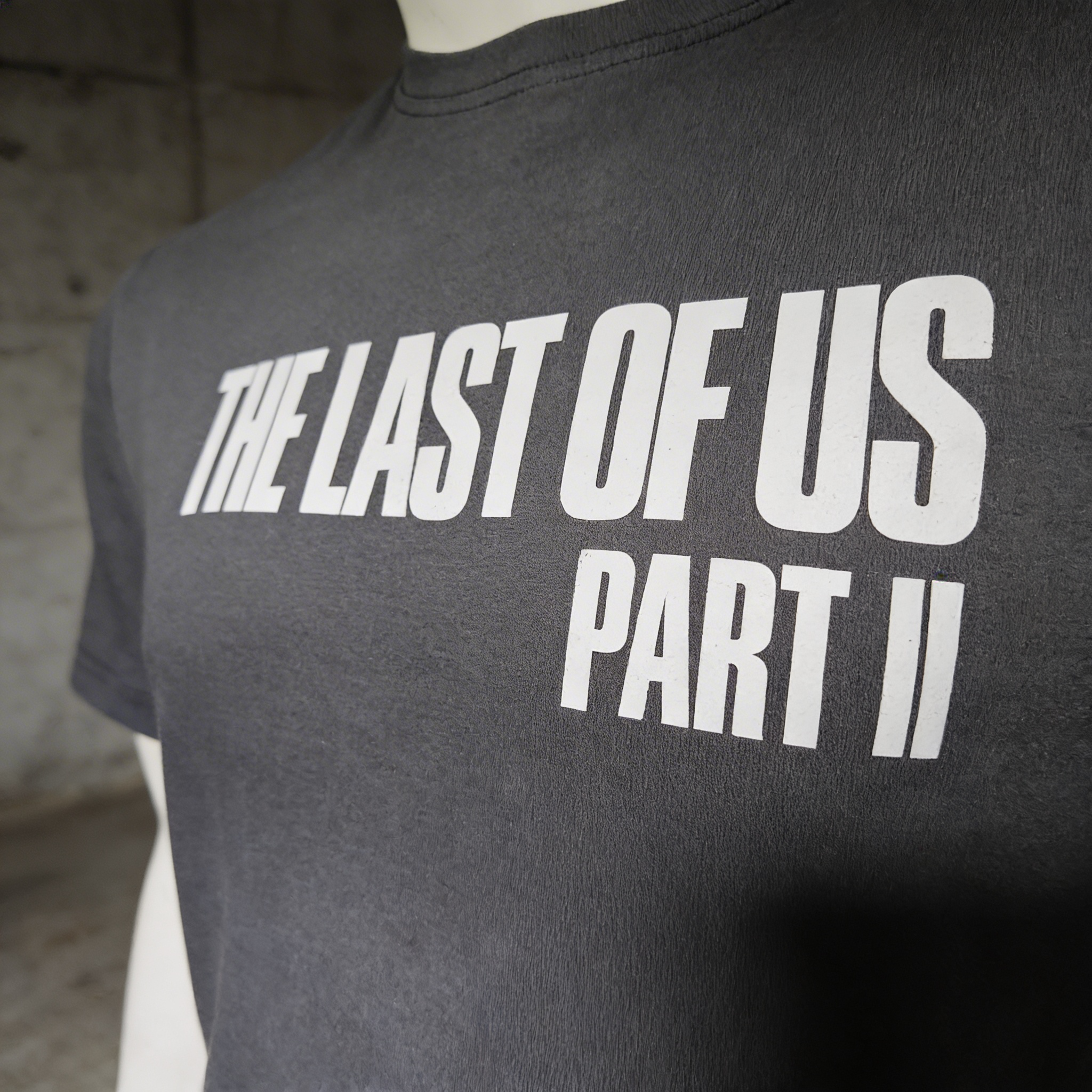 The last of Us